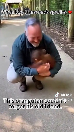 Animals become agitated when they are reunited with their owners.❤️ #pet #cat #dog #cute #animals #foryou #typ