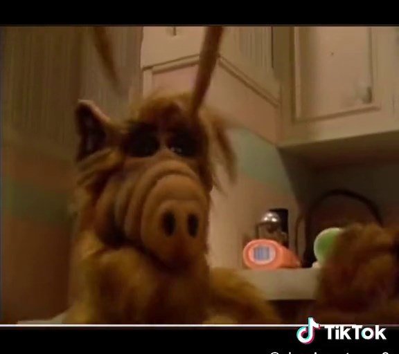 Alf (alien life form) 🤣 #classic #cartoon