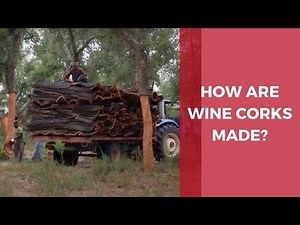 How are wine corks made? Guide to the cork harvest & wine cork production