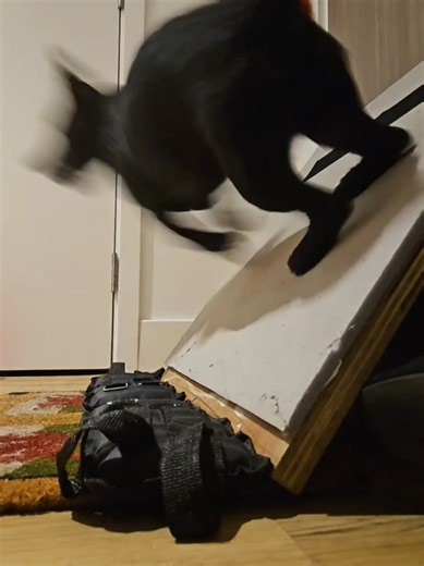 Shadow on TikTok