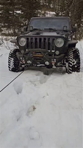 what winch do you use? This carbon 12k is killer!