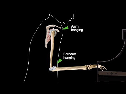 The Chopin Method: Piano lesson 1. Sitting and posture at the piano.