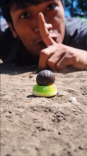 Don't be noisy, a cute roly-poly is eating a Dunkin' donut #pillmillipede