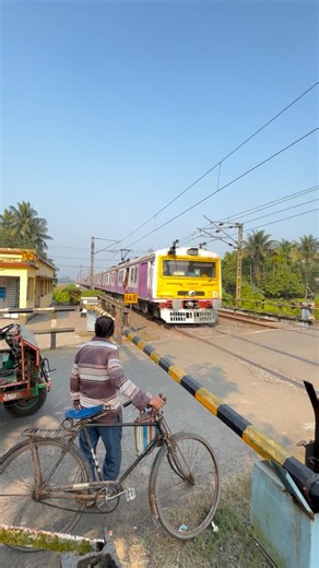 Emu at Railgate #shorts