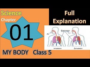 Chapter 1 My Body Science Class 5 DAV Our Living World full explanation