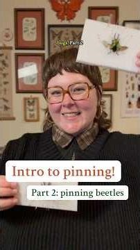 Pinning beetles! Intro to Pinning, part two 😊