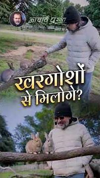 खरगोशों से मिलोगे? || आचार्य प्रशांत