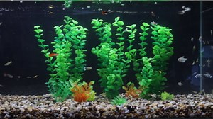 AQUANEAT Fish Tank Artificial Plants, Aquarium Plants Plastic, 12Inch Tall Green Decorations,10packs
