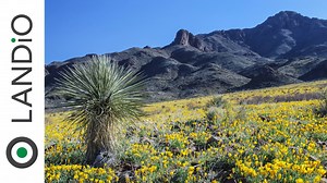 20 reactions | New Mexico | 14.8 Acres | $14,900 View Property...