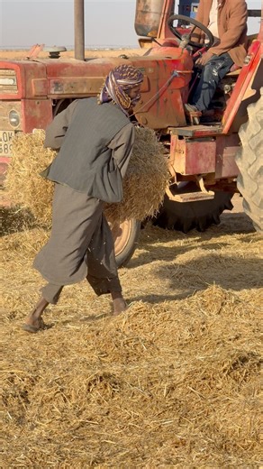 2.8K views · 32 reactions | Making old wheat seed blocks #wheat #seeds #florida #reels | Sajib Hossain | Facebook