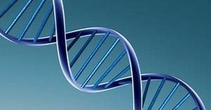 Los ácidos nucleicos: concepto, composición química y tipos