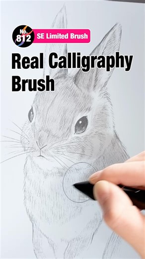 'Real Calligraphy Brush' | FireAlpaca SE Limited Brush