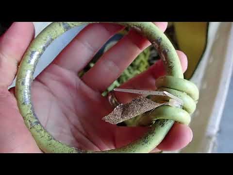 Brush Grubber BG-16 Review