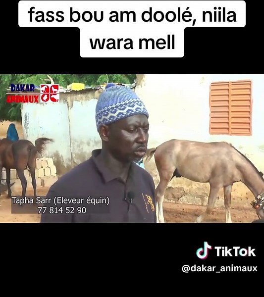 Vidéos de Dakar Animaux TV (@dakar_animaux) avec son original - Dakar Animaux TV