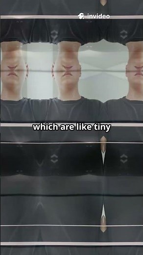 Vocal Power: How the Human Voice Really Works