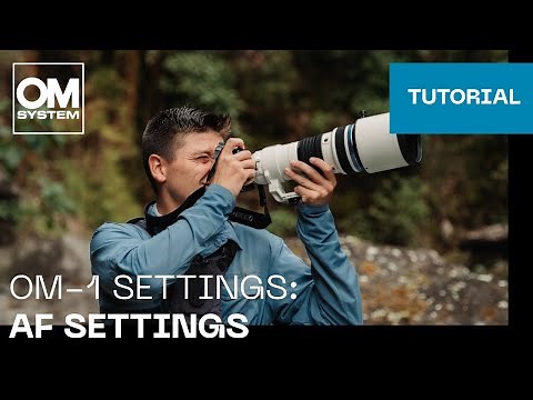 OM-1 & OM-1 Mark II Settings: AF Settings