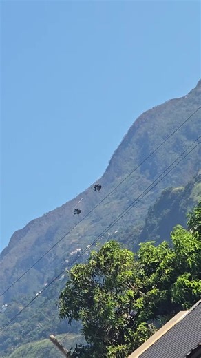 #fyp #tiktok #jamaica #soldier #vrial_video