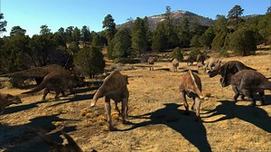 395K views · 7.7K reactions | A compelling thought experiment proposes that dinosaurs could have evolved into humanoid beings and continue to roam the earth today. #ancientaliens | Ancient Aliens | Facebook