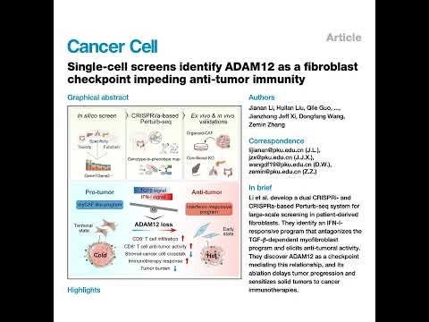 464-ADAM12调节成纤维细胞抗肿瘤免疫断点