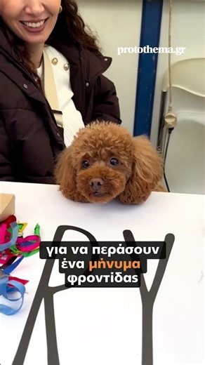 Ο Νίκος Χαρδαλιάς στο Woof Festival