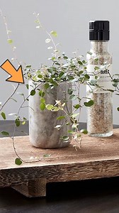 58K views · 609 reactions | Thrifting Pottery Barn Dupes! | Liz Fenwick DIY | Facebook