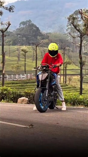 KTM Duke 390 FULLY MODIFIED | Street BEAST Unleashed! 🔥 #ktmduke390 #modified