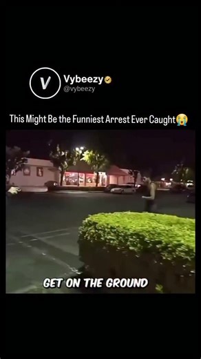 vybeezy | follow us @vybeezy for more! This might be the funniest arrest ever caught on camera bro tried to hide behind a tiny pole like the cops... | Instagram