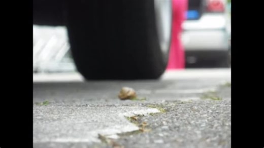 Candid Snail Crush in Parking Lot - Candid