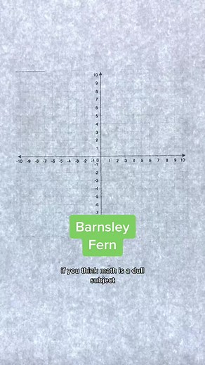 Exploring the Barnsley Fern Fractal