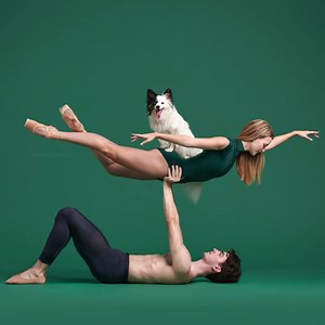 612K views · 41K reactions | So much talent in one video! Colorado Ballet #dancersanddogs #dogtricks #coloradoballet | Dancers & Dogs | Facebook