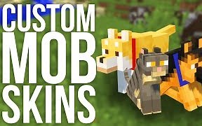 【MC技巧】教你添加自定义生物皮肤[非MOD]