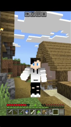 tips and tricks for Minecraft beginners