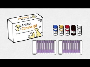 Identify the cause of your dog allergy! Safe Allergy Test for Animal (Canine)