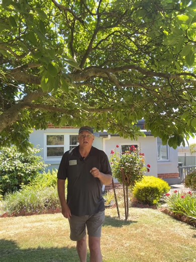 Online Side Hustles for 2026: Discover Skill-Based Success