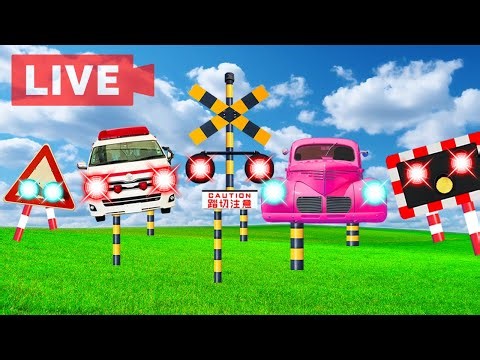 【ライブ配信】 踏切アニメ 🚦 カンカン鳴る！Fumikiri Railroad crossing #136