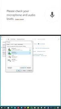 Fix: Please Check Your Microphone and Audio Levels (Windows 10/11)