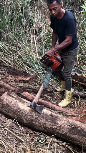 Chainsaw-Powered Log Debarking Tool