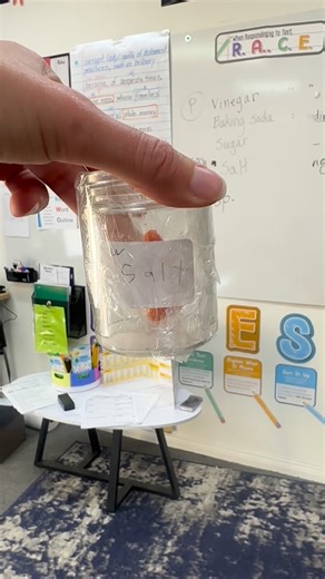 Village Education Centers | Today our students explored how different substances can modify and preserve products through a hands-on experiment using apples and common... | Instagram