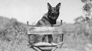 How the Dog Actor Rin Tin Tin Saved Warner Bros. Studios From Bankruptcy in 1923 — GeekTyrant