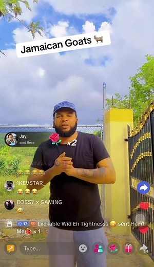 Jamaican Goats (@jamaican_goats)’s videos with original sound - Jamaican Goats