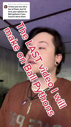 Why Ball Pythons Are Not Beginner Friendly - An In-Depth Analysis