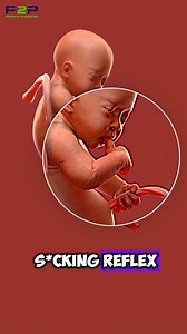 Reflex in the womb! | Pregnancy to parenting