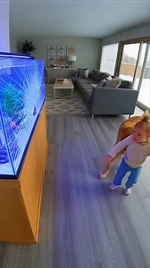 247K views · 276 reactions | Family's Security Camera Captures Dog's Heroic Rescue: Quick-thinking Canine Saves Toddler from Shattering Aquarium! #dog #hero #rescue #aquarium #toddler #safety | Peter Vu TV | Facebook
