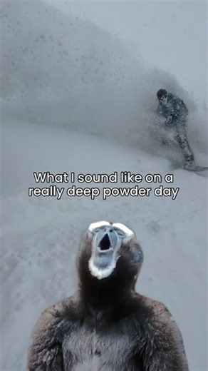 Luke Stone | Meteorologist | Powder Hunter | Snowboarder on Instagram: "Powder brings out the primitive communications. Send this to your buddy who is always hollering on pow days ⛷️ Follow @imlukesnow for the best ski and snowboard memes!"