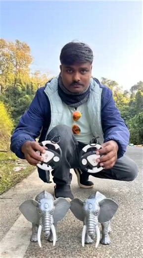 Best elephant video rc remote control