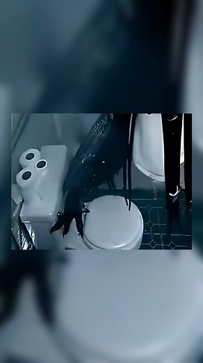 Did You Catch This? on Instagram: "Throwback to the Genius Marketing of Alien vs. Predator They really don’t make video game ads like they used to, and one perfect example is the hilariously clever ad for the 2003 video game Alien vs. Predator: Extinction. In this ad, the Alien is seen taking a shower, only for the Predator to walk in and flush the toilet, sending a rush of boiling water through the shower pipes. It’s a simple yet unforgettable moment of humor that captured the dynamic between t