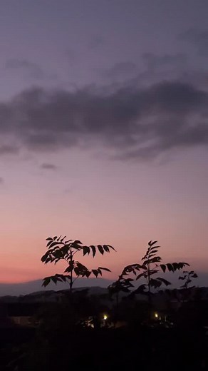 ‘Sorrow’s embrace’ A tanka inspired by a @poeticreveries_ Tanka Tuesday prompt ‘dormant’ I took the video one evening last month. My debut poetry collection ‘The Weight of Missing’ is out now 📖 Links to purchase in my bio ——- I am dormant skies. The rose blush of dusk waiting for night to arrive. This vigil in tender faith perfumed with sorrow’s embrace. @life_and_light_poetry —— #tankapoem #readingaloud #spokenwordpoetry #spoken #poetsandwriters #reelsoninstagram #nightsky #dusklove | Life and