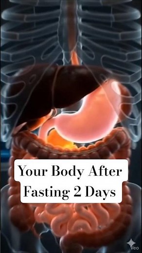 What Happens to Your Body When You Fast for 48 Hours?#shorts#3danimation