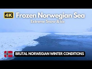 Heavy Snow ❄️ Frozen Sea Norway 🥶 Extreme Freezing Cold Walking Tour 4K