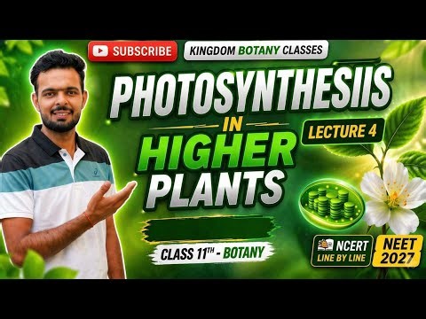 Plant physiology lecture 4 photosynthesis in higher plant by RD Thapan sir
